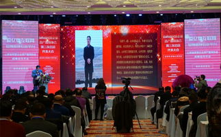 資產(chǎn)置換 撬動(dòng)民營(yíng)經(jīng)濟(jì)發(fā)展的新支點(diǎn)與商務(wù)信息咨詢(xún)的價(jià)值